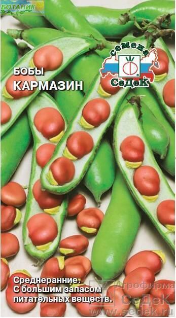 Семена Бобы Кармазин