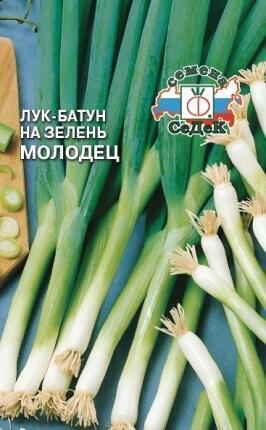 распродажа Лук батун Молодец, производство СеДеК