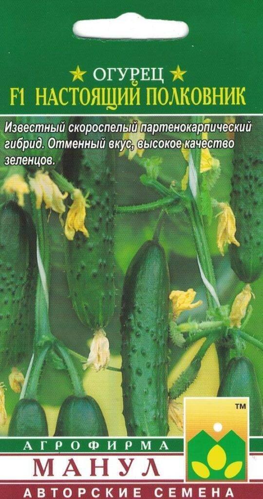 Семена Огурец Настоящий полковник F1 Манул