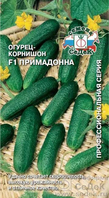 Семена Огурец Примадонна F1 СеДеК