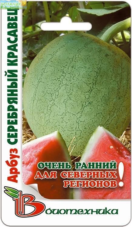 Семена Арбуз Серебрянный красавец