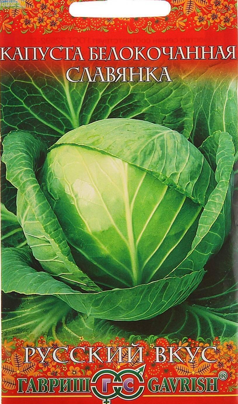 распродажа Капуста белокочанная Славянка Русский вкус!, производство Гавриш