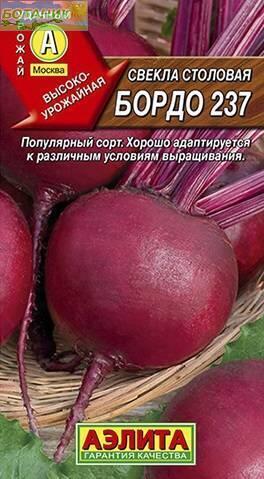 Семена Свекла Бордо 237