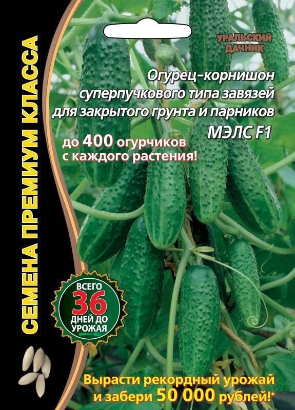 Семена Огурец Мэлс Уральский дачник