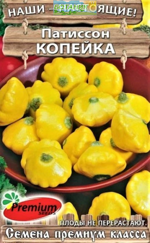 Семена Патиссон Копейка