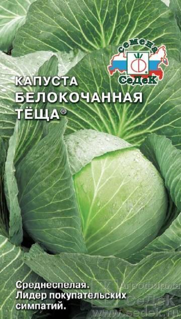 Семена Капуста белокочанная Теща