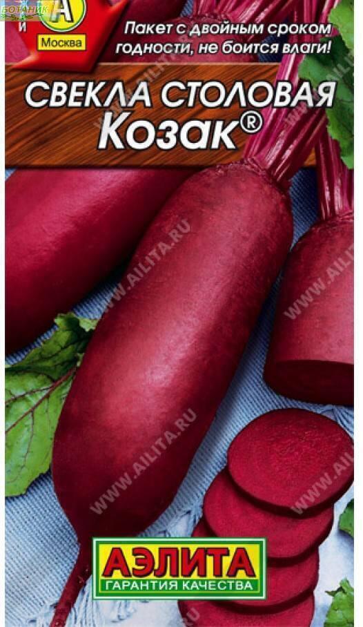 Семена Свекла Козак