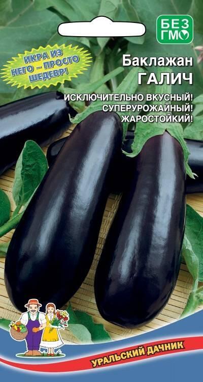 Семена Баклажан Галич