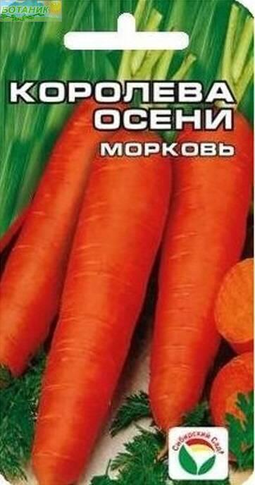 Семена Морковь Королева осени