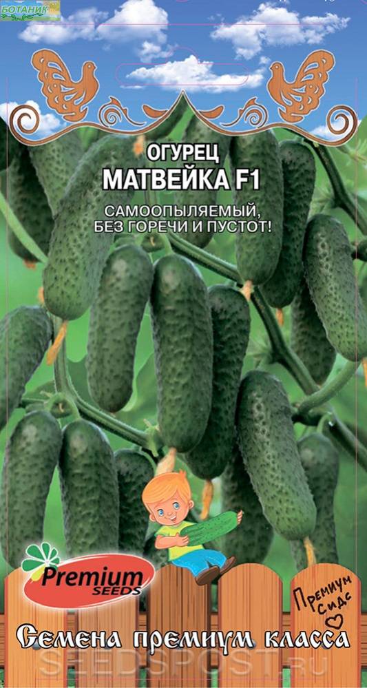 Семена Огурец Матвейка F1 Премиум Сидс